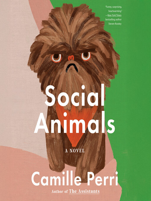 Cover image for Social Animals